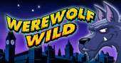 werewolfwild